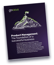 Free eBook – Product Management: Foundation of a successful business