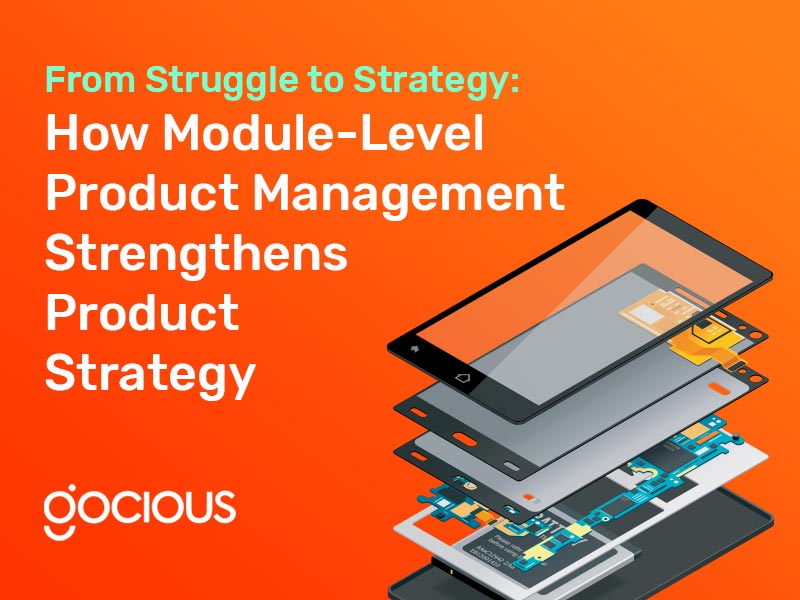 From Struggle to Strategy: How Module-Level Product Management Strengthens Product Strategy